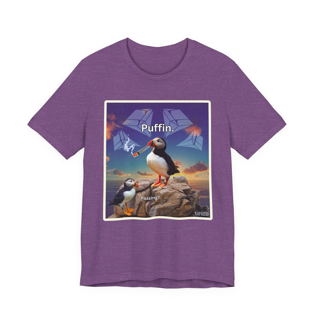 Puffin.