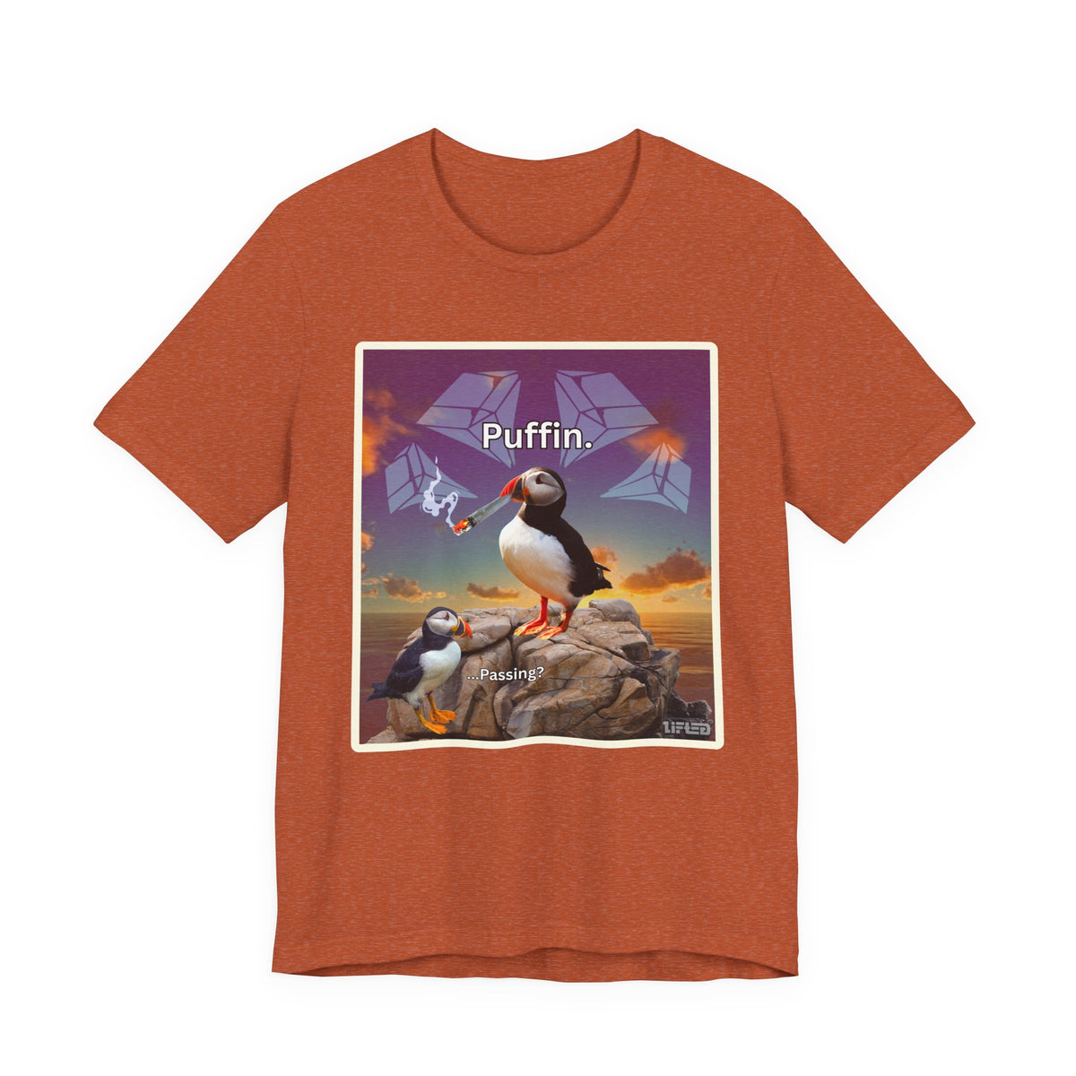Puffin.