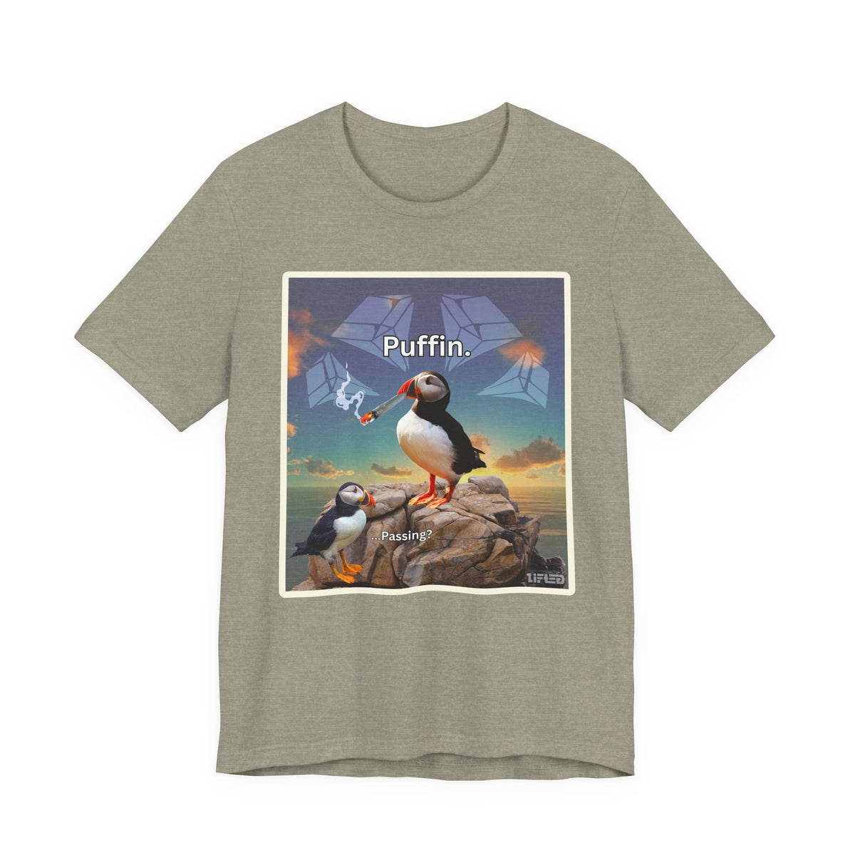 Puffin.