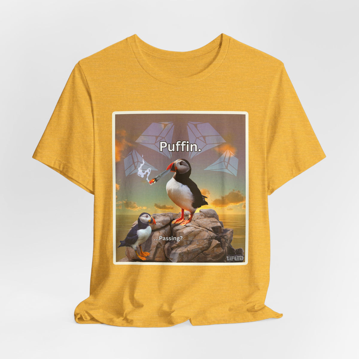 Puffin.