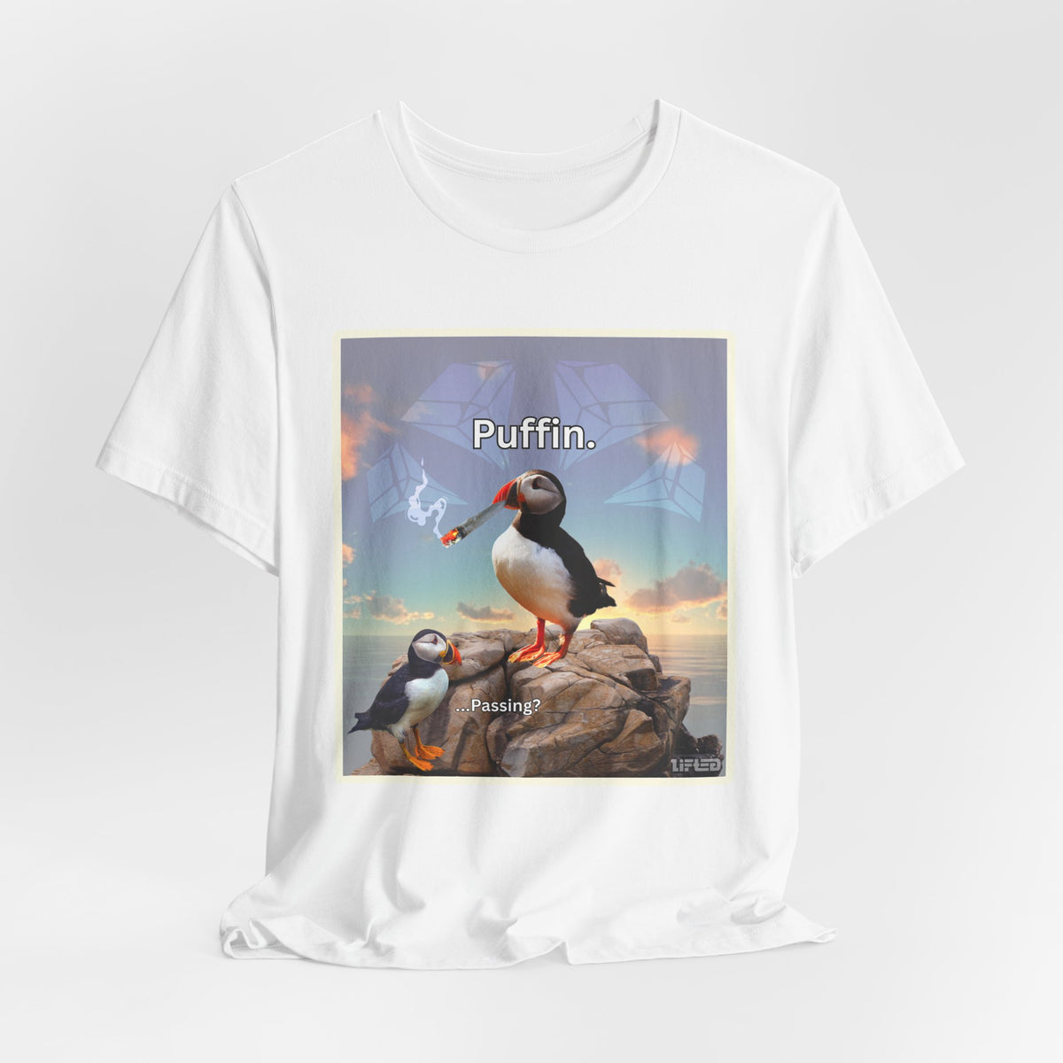 Puffin.