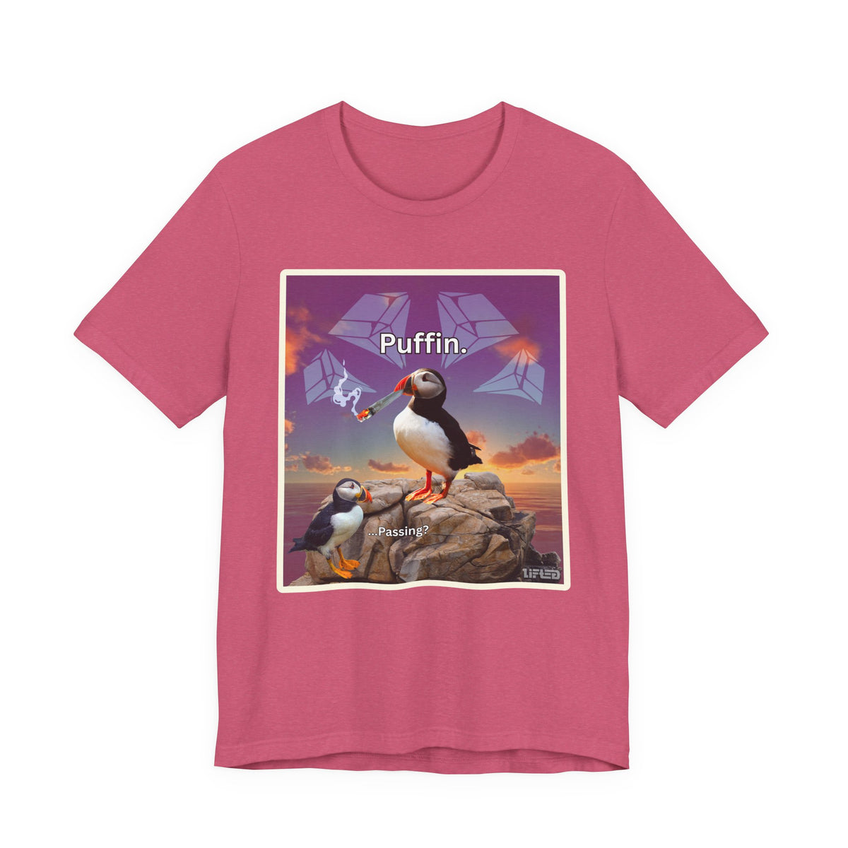 Puffin.