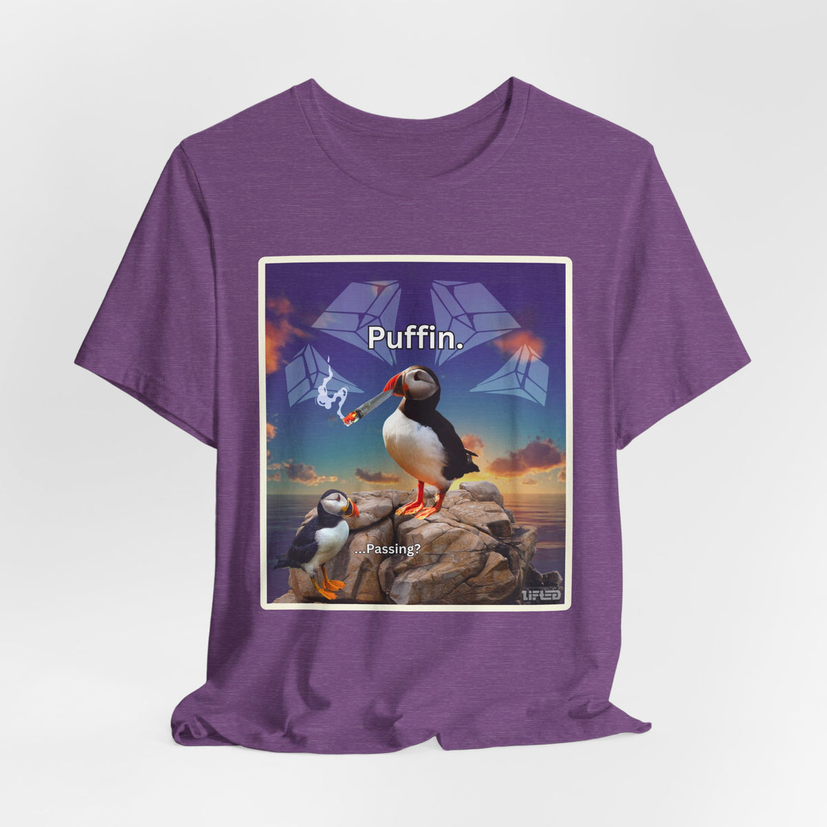 Puffin.