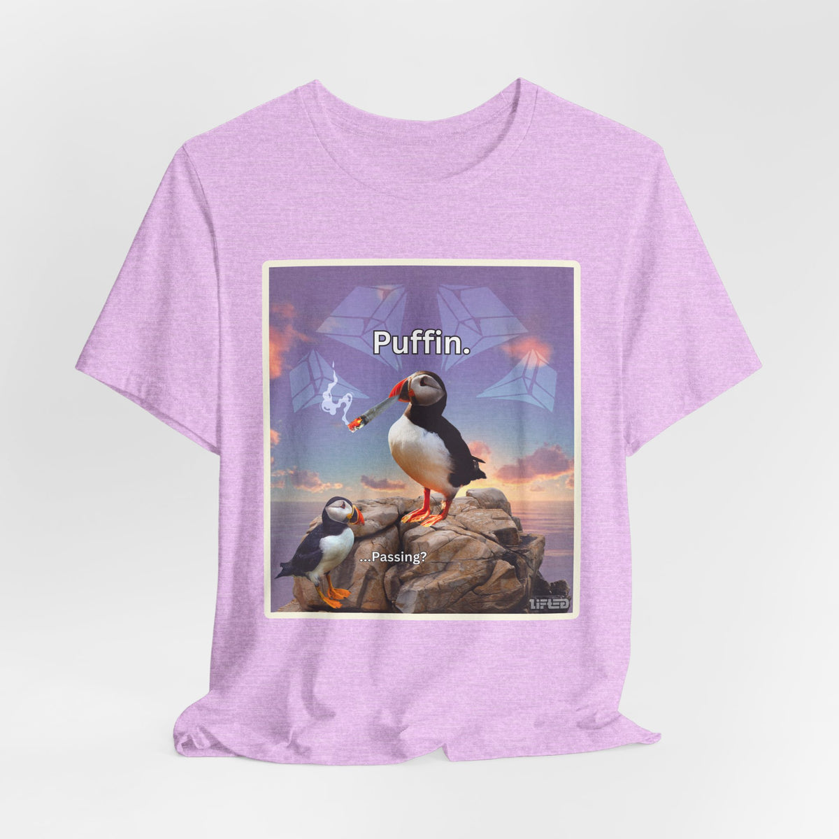 Puffin.