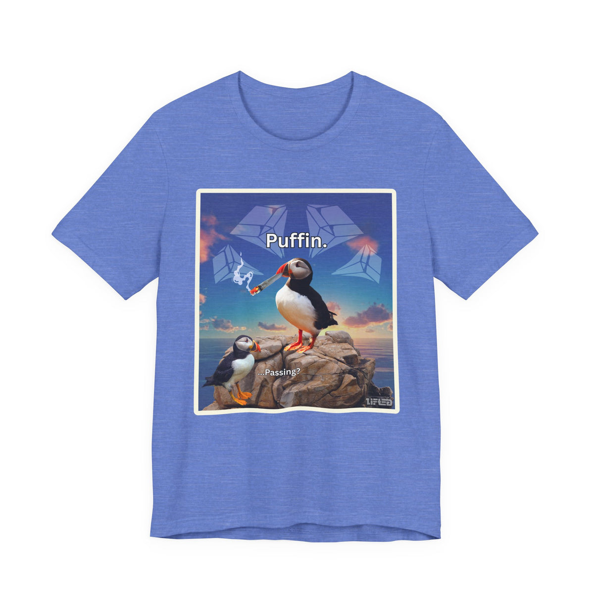 Puffin.
