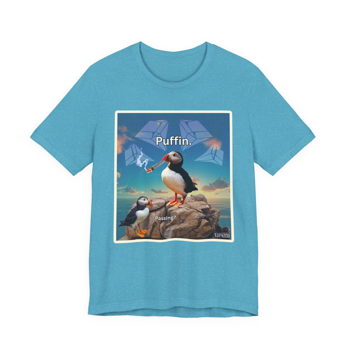 Puffin.
