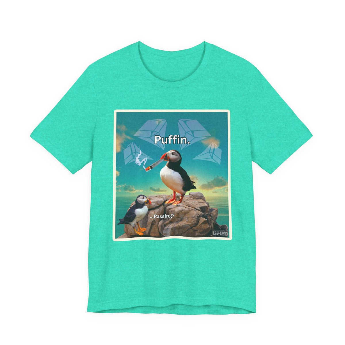 Puffin.