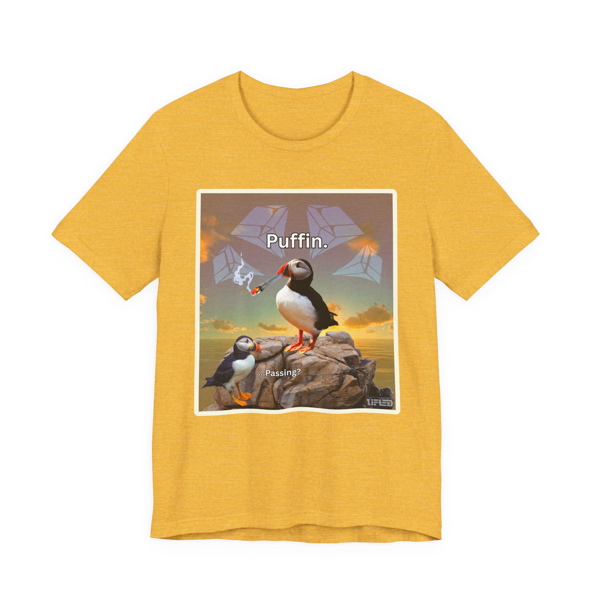 Puffin.
