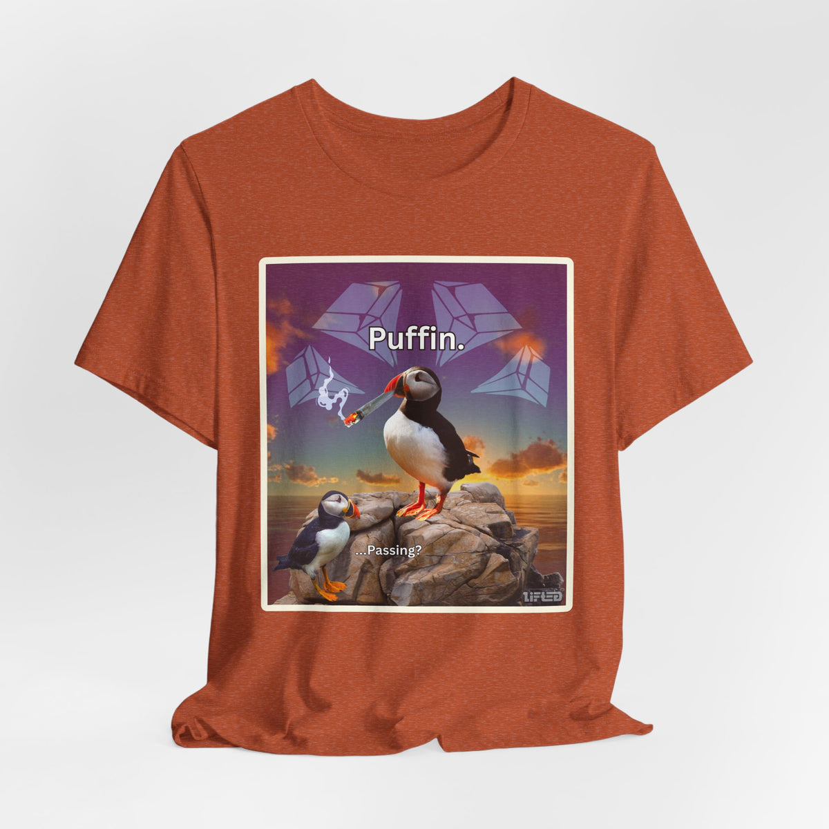 Puffin.