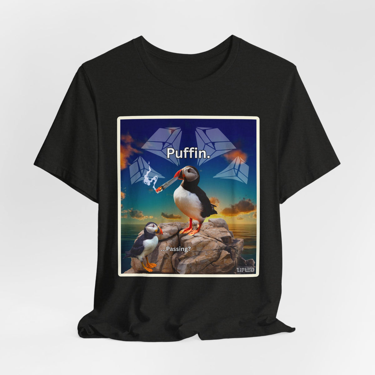 Puffin.