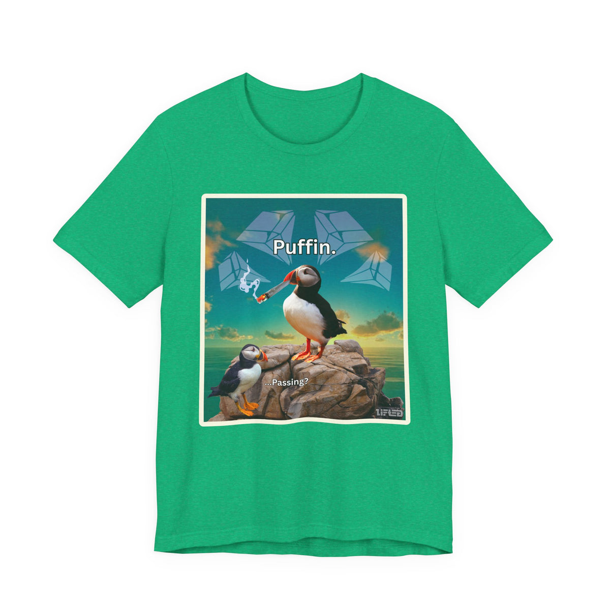 Puffin.