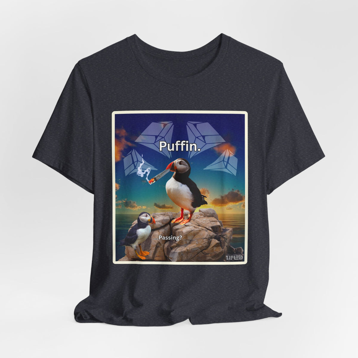 Puffin.