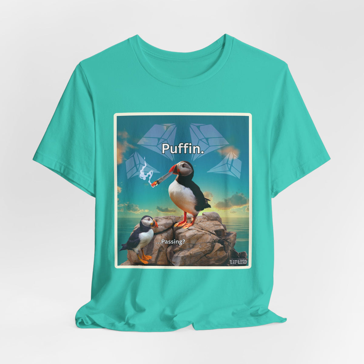 Puffin.
