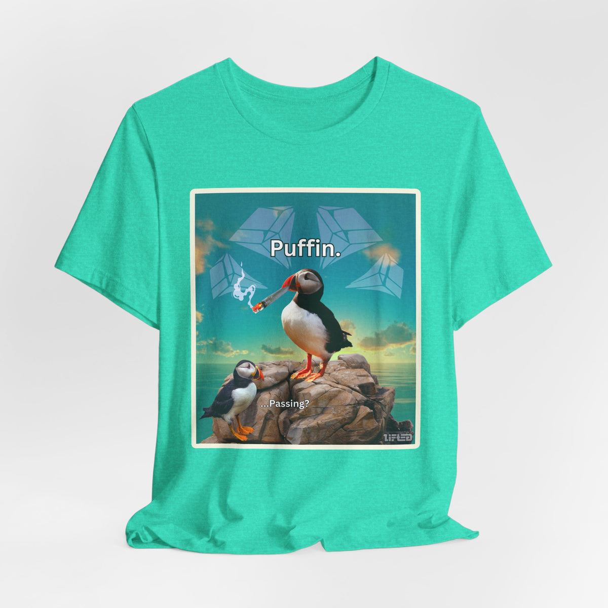 Puffin.