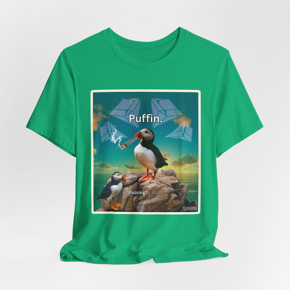 Puffin.