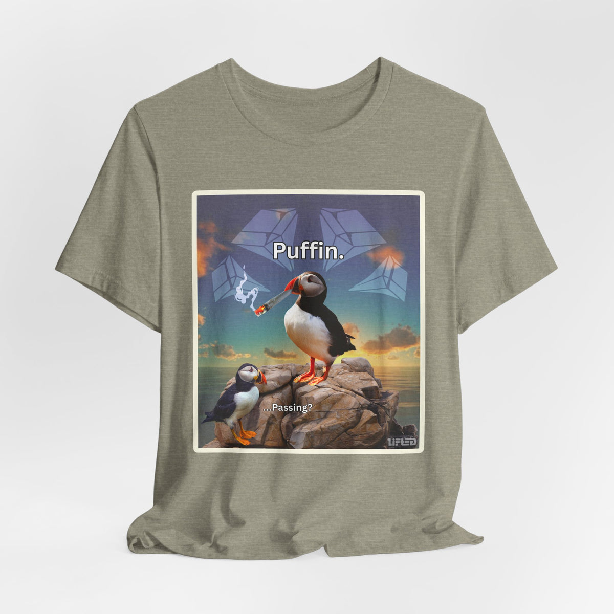 Puffin.
