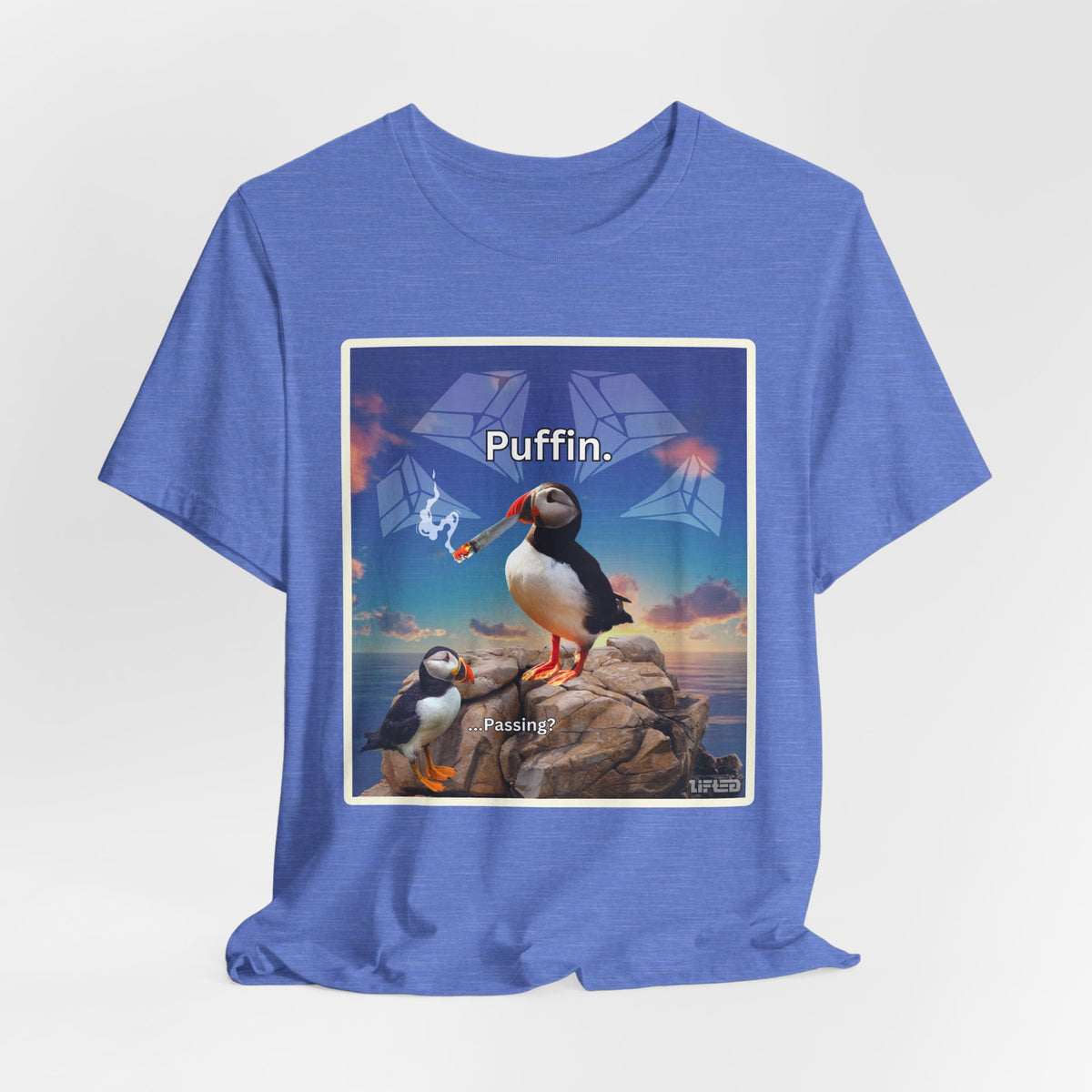 Puffin.