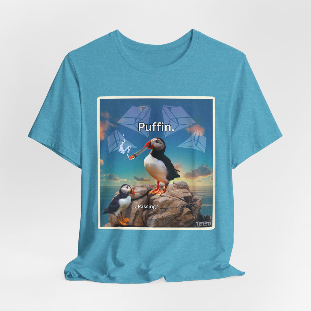 Puffin.