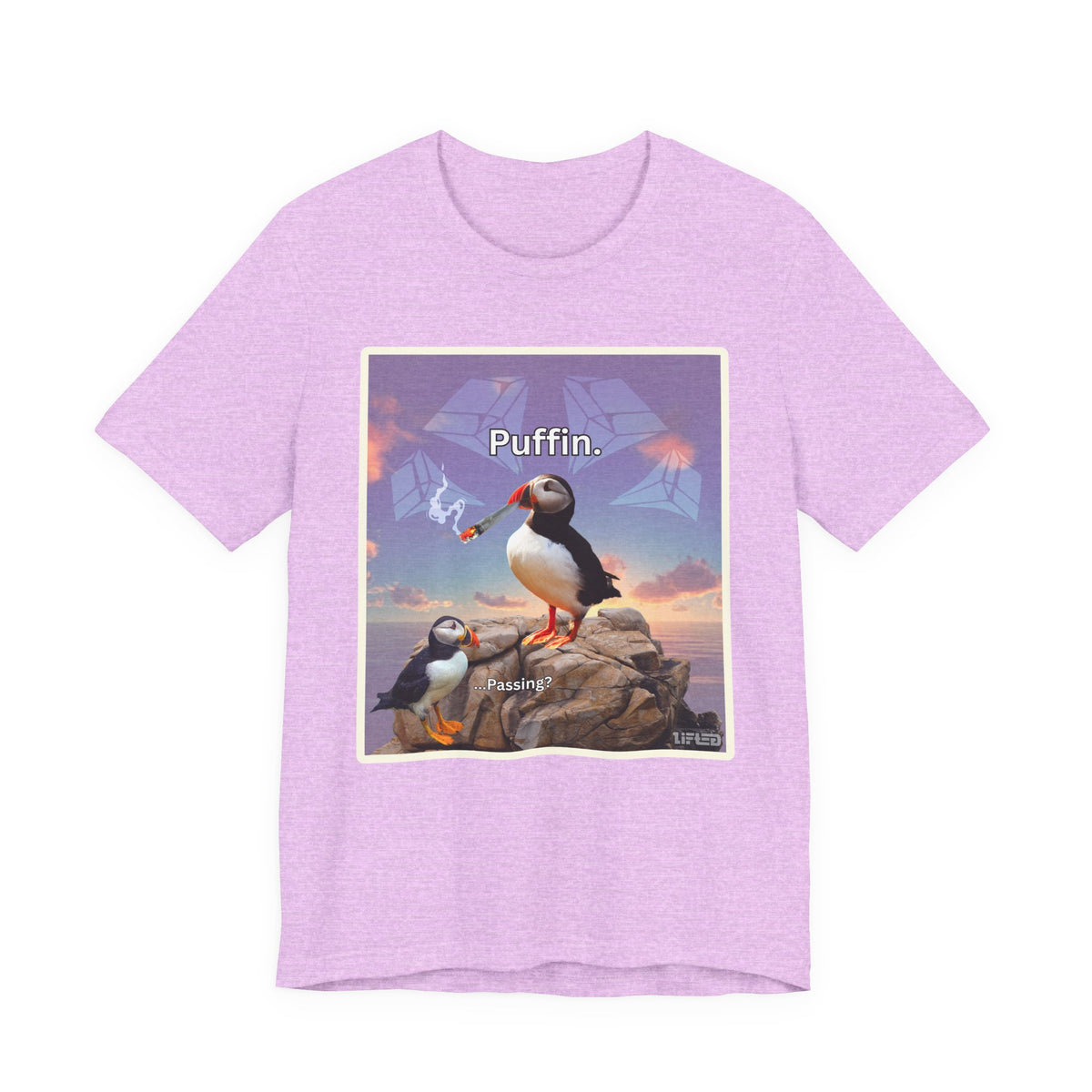 Puffin.